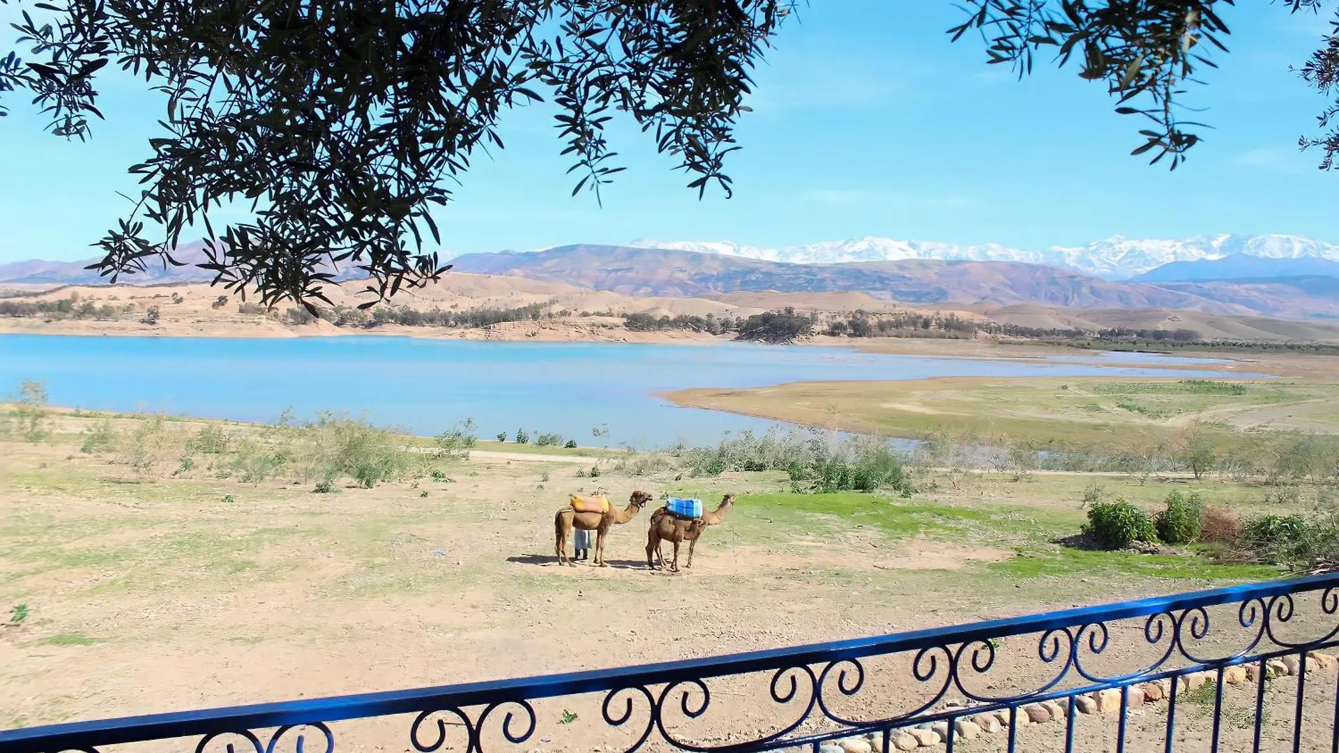 Affittacamere Hotel Dar N'Fis Marrakesh